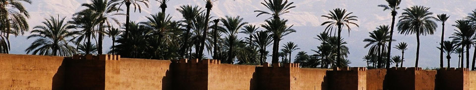 marrakech circuits et excursions